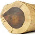 1661013005597.png