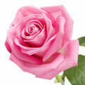 1661013045436.png