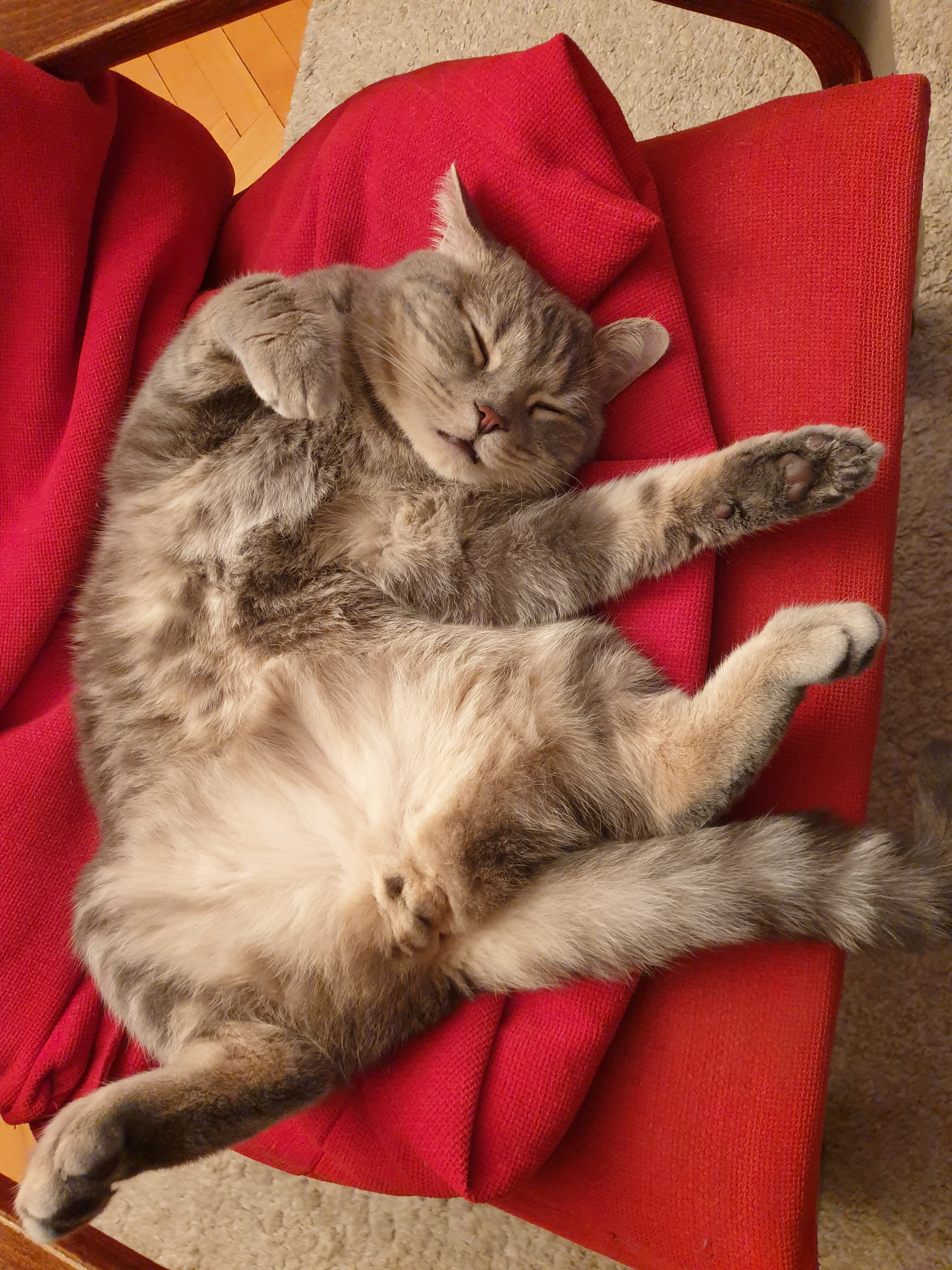 20200521_215610.jpg