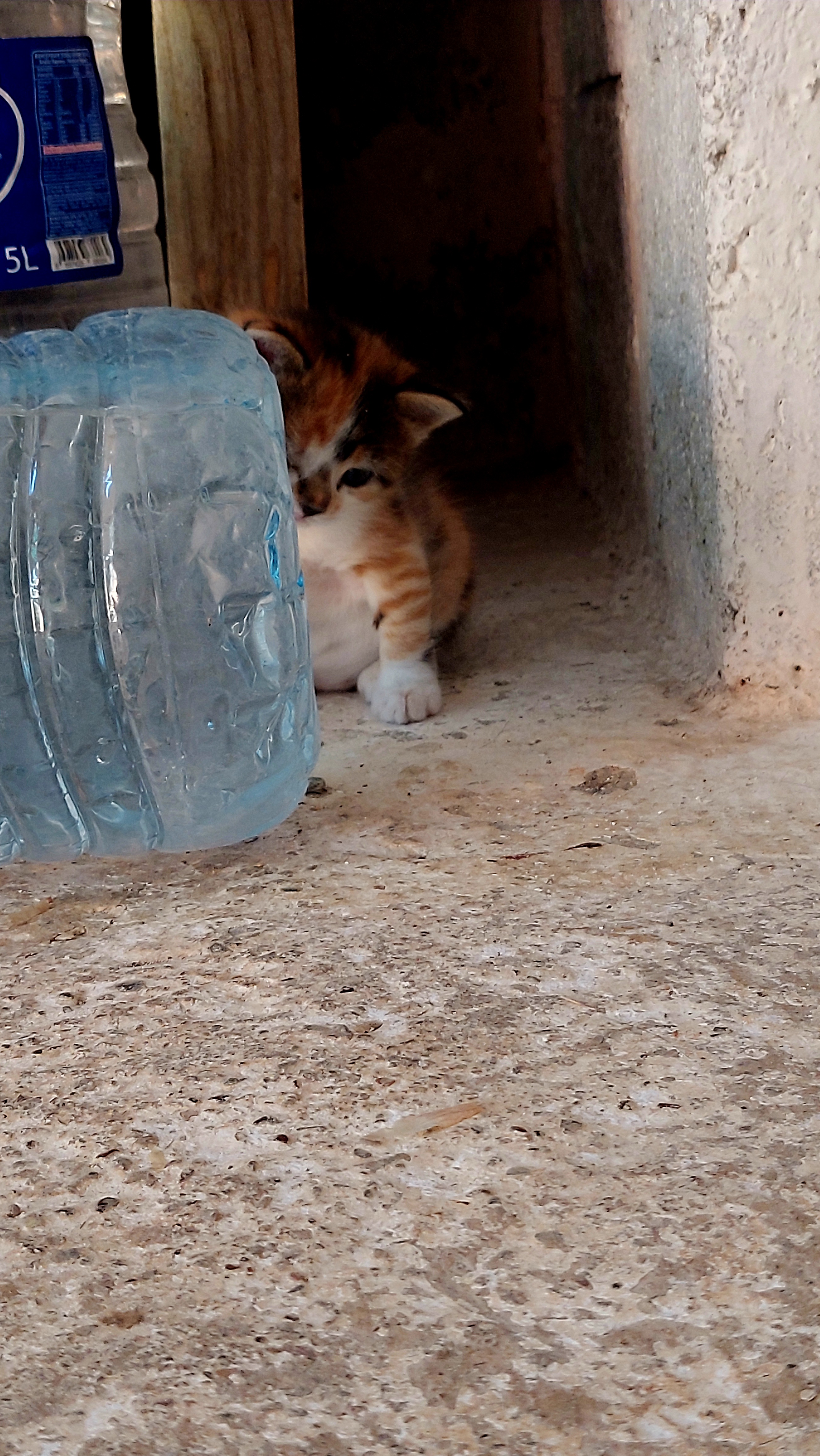 20250705_160235.jpg