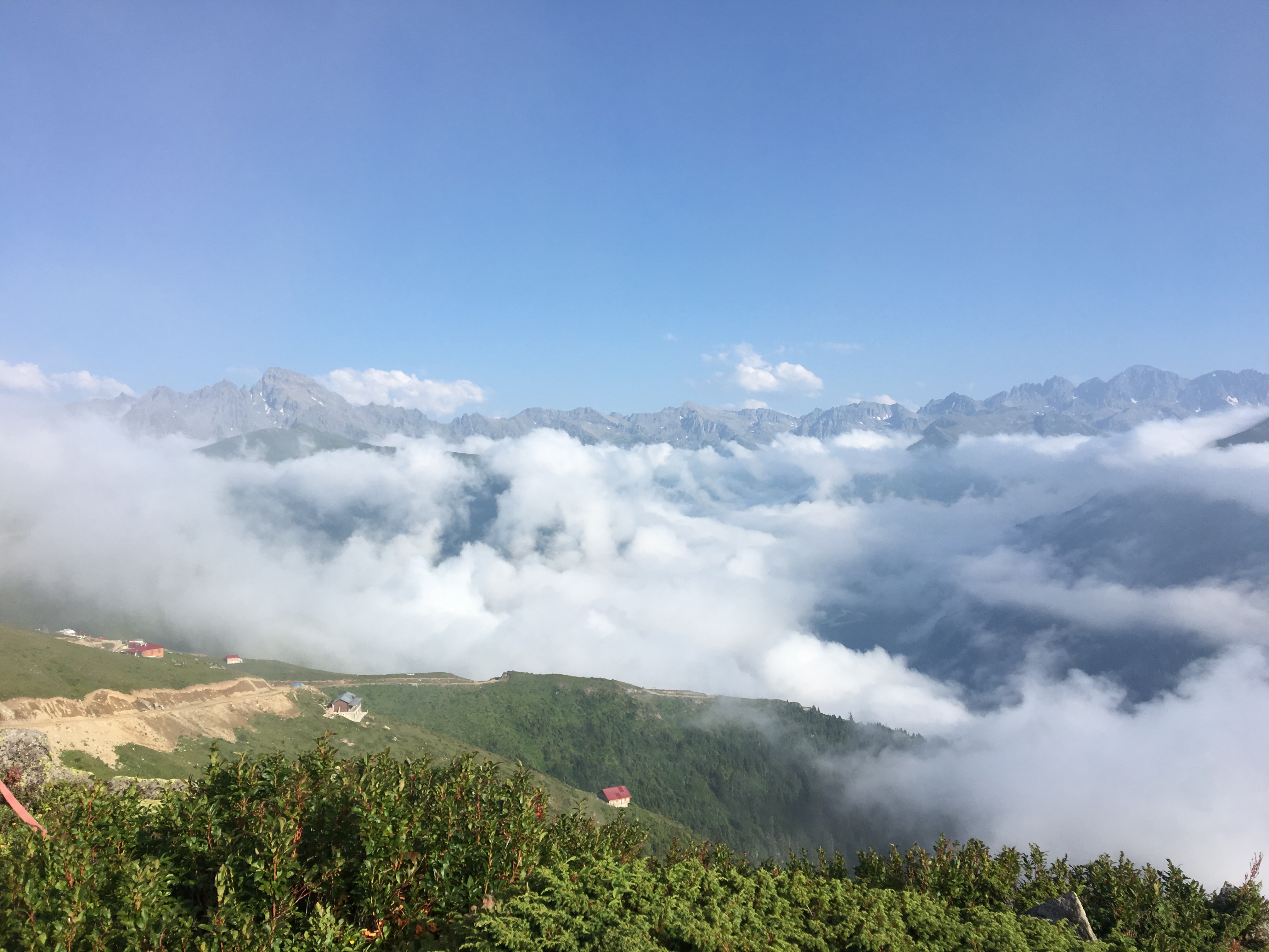 44E3349A-FAE9-4391-B121-A2B6CDEF77CE.jpeg
