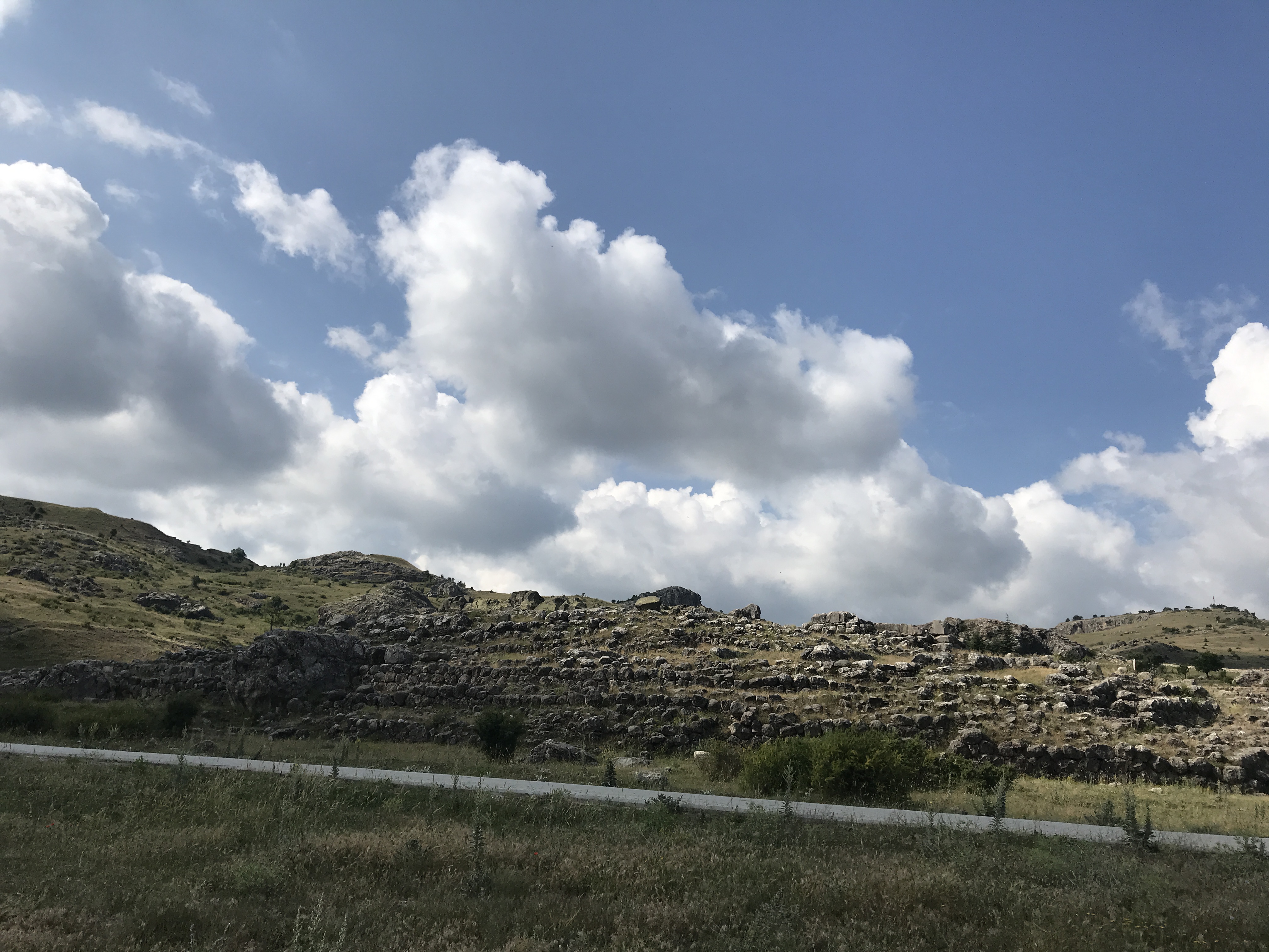 595BC3D9-35D4-4F34-93DC-AACF7B8D5D06.jpeg