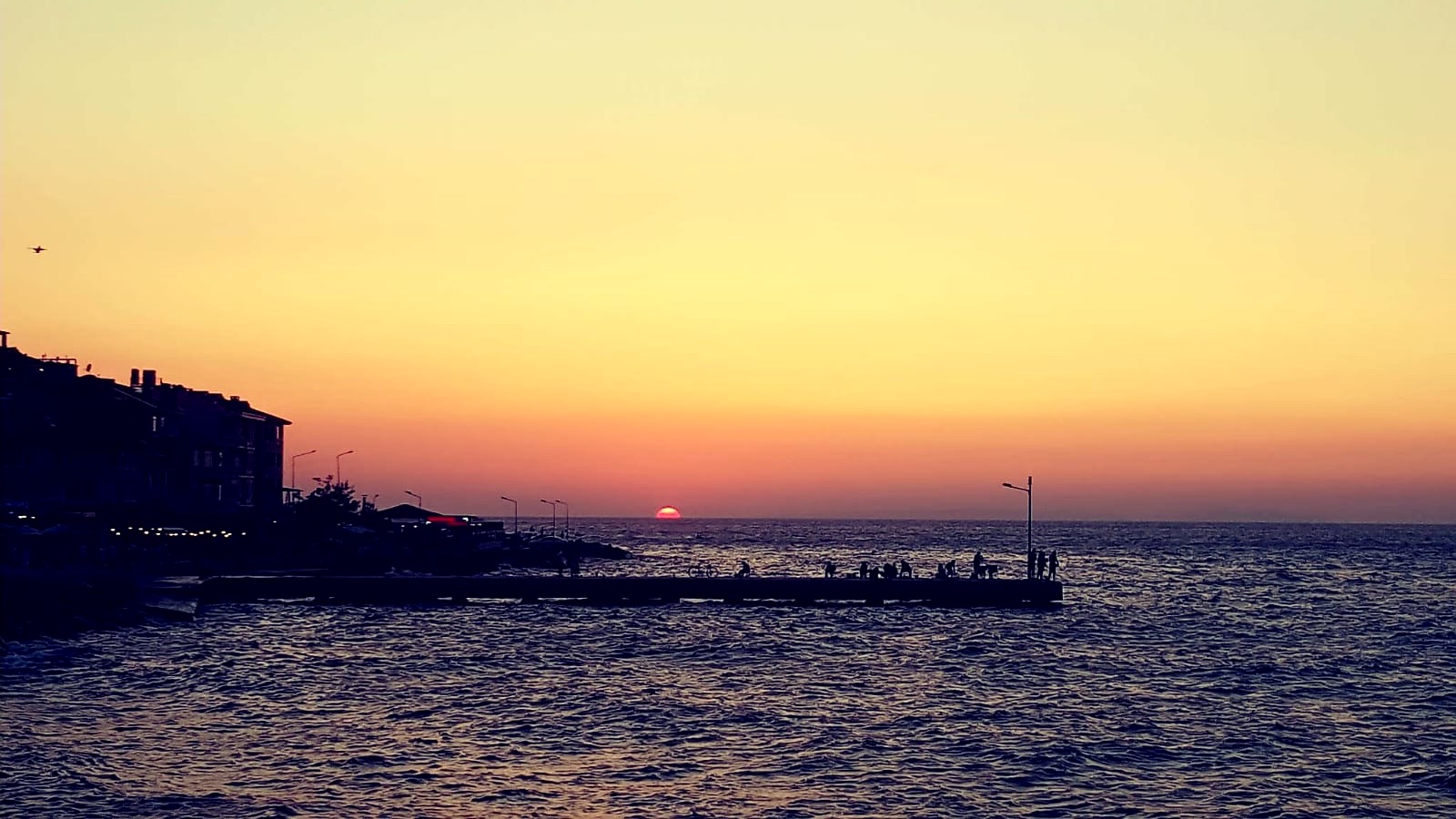 9624C775-D202-4E46-B747-5B6AB9E004B3.jpeg