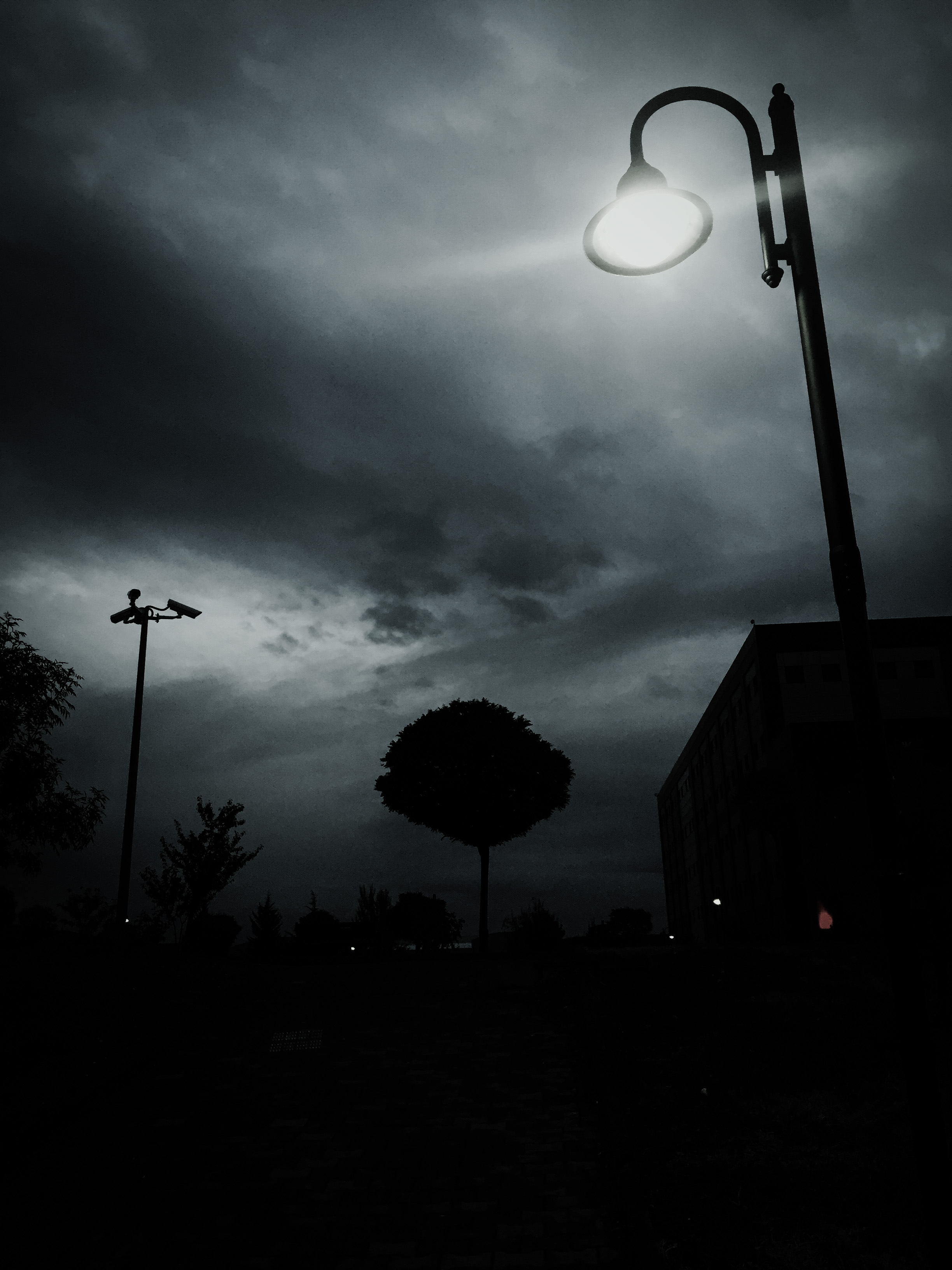 990672A5-9A42-460D-9772-5CBE03F3A1F9.jpeg
