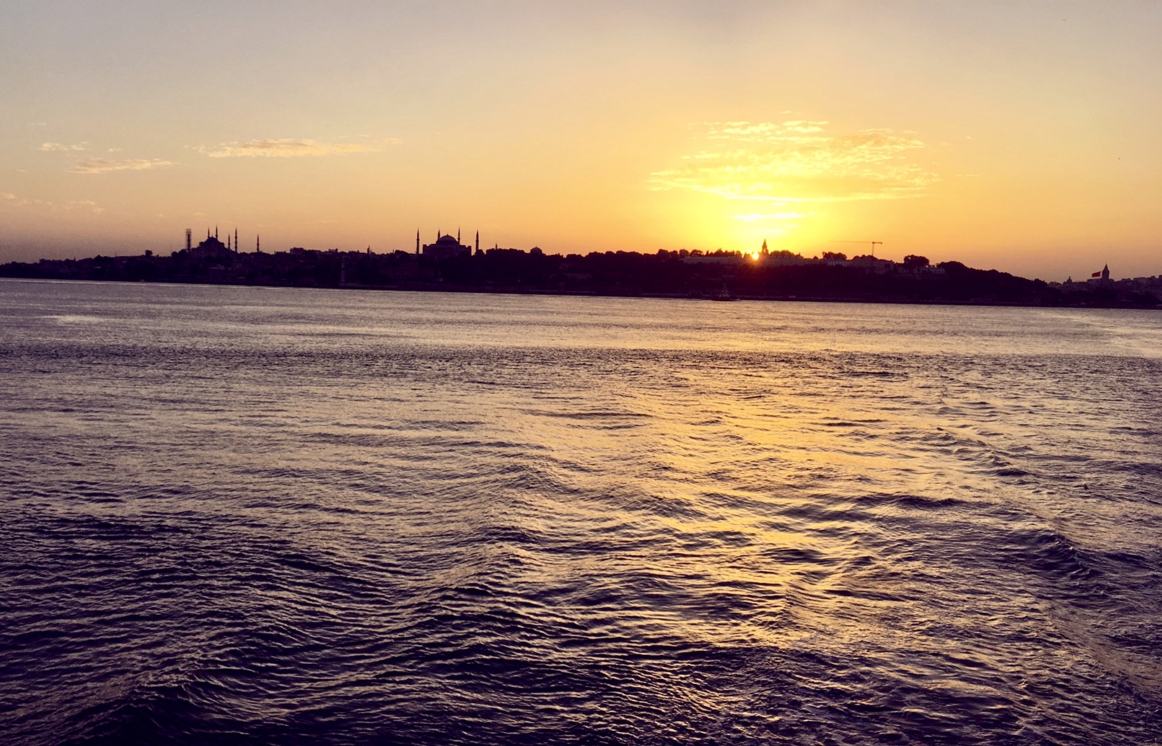 AA8E3636-F827-429B-BDD0-C147849CCE36.jpeg