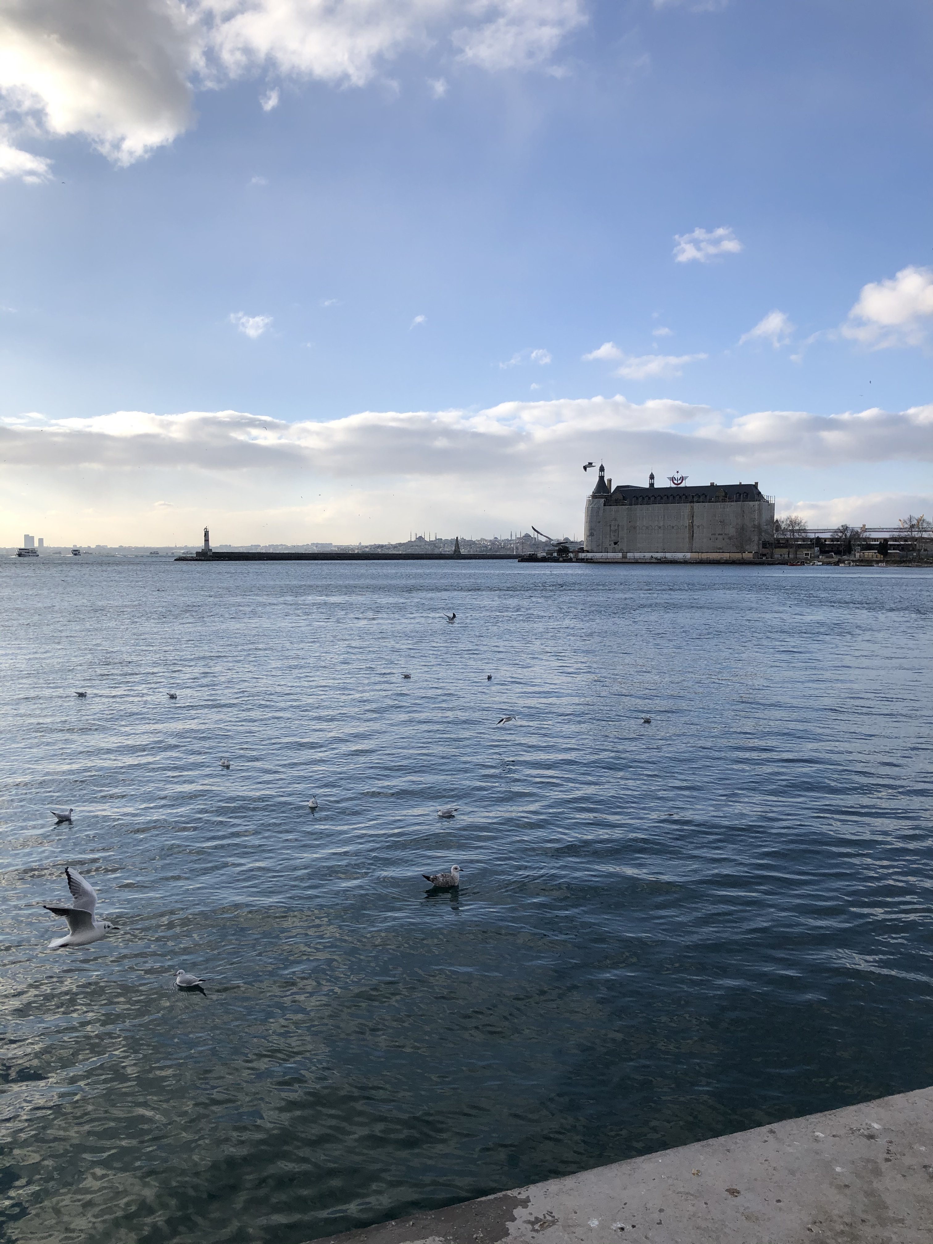 AB137DD9-072A-4A03-8AA5-C5C049FE6D2C.jpeg