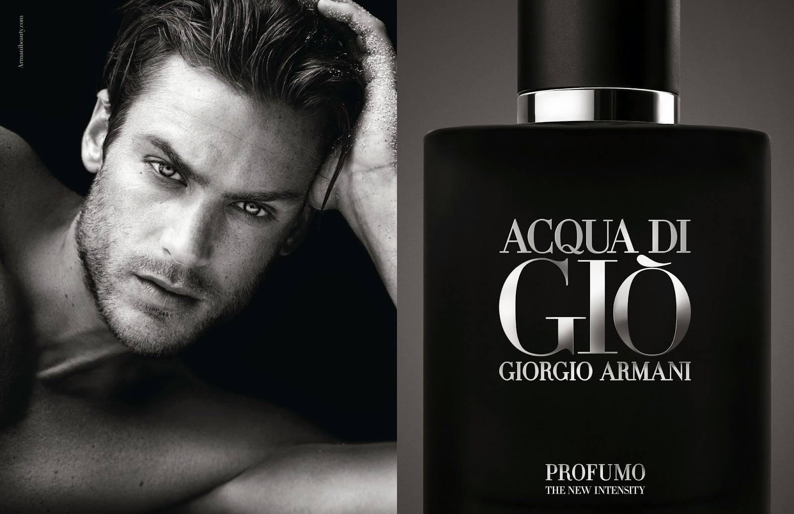 Acqua di Gio Profumo Giorgio Armani for men manken resimli küçültülmüş resim.jpg