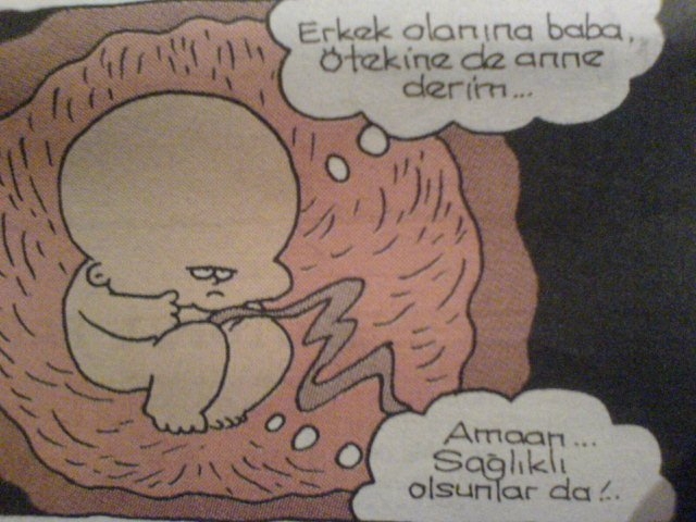 bebek_282119.jpg