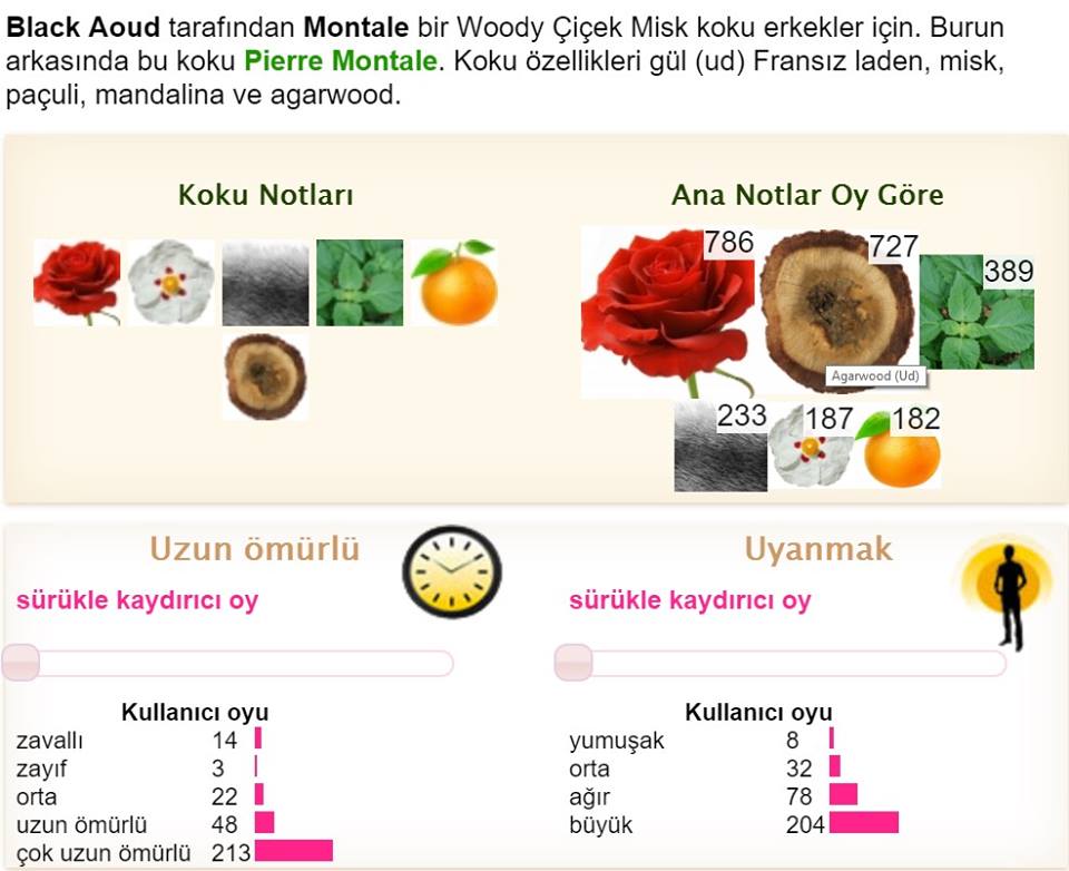black aoud montale for men üye oy içerik tablo etki sılaj ömür k.jpg