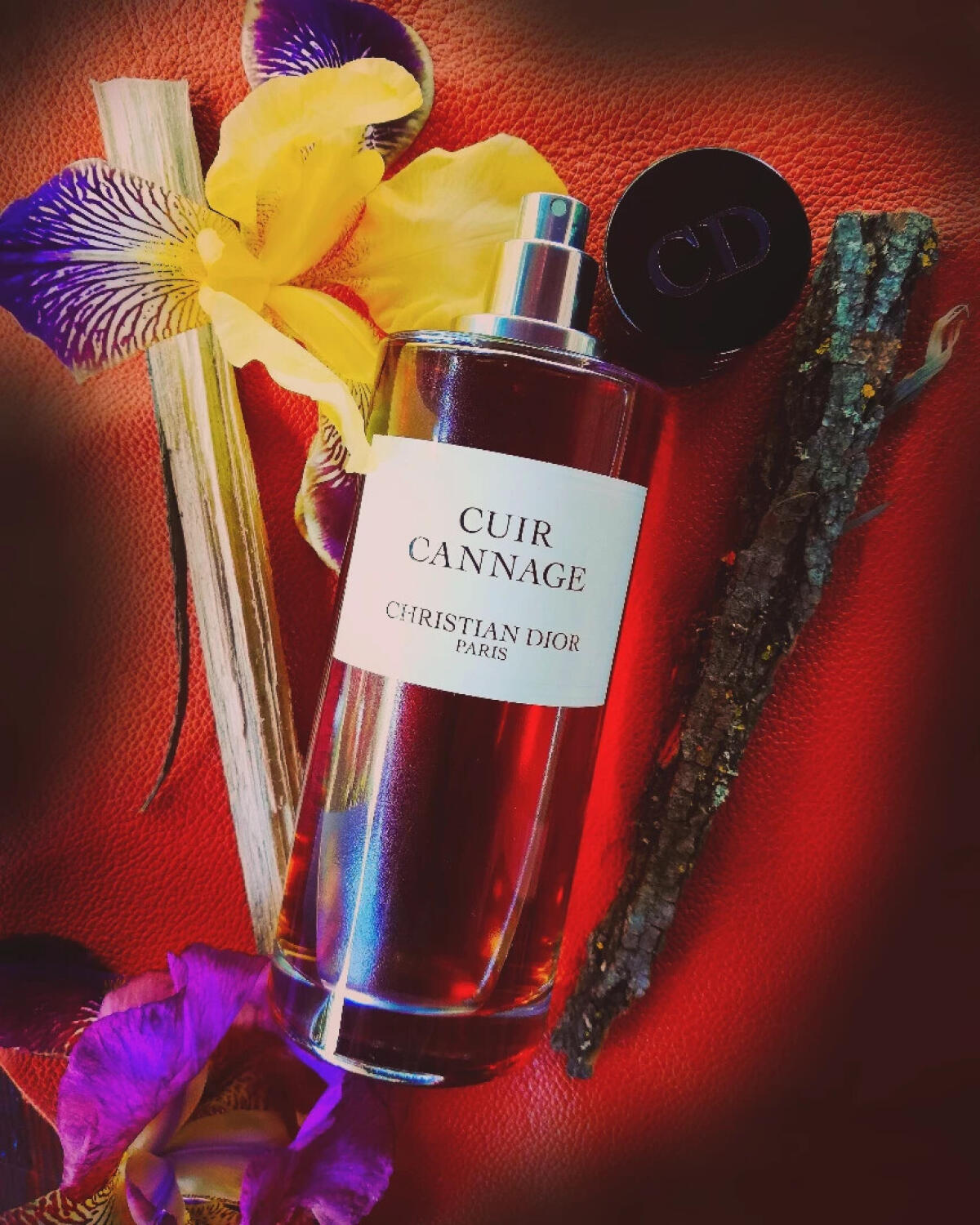 Dior Cuir Cannage.jpg