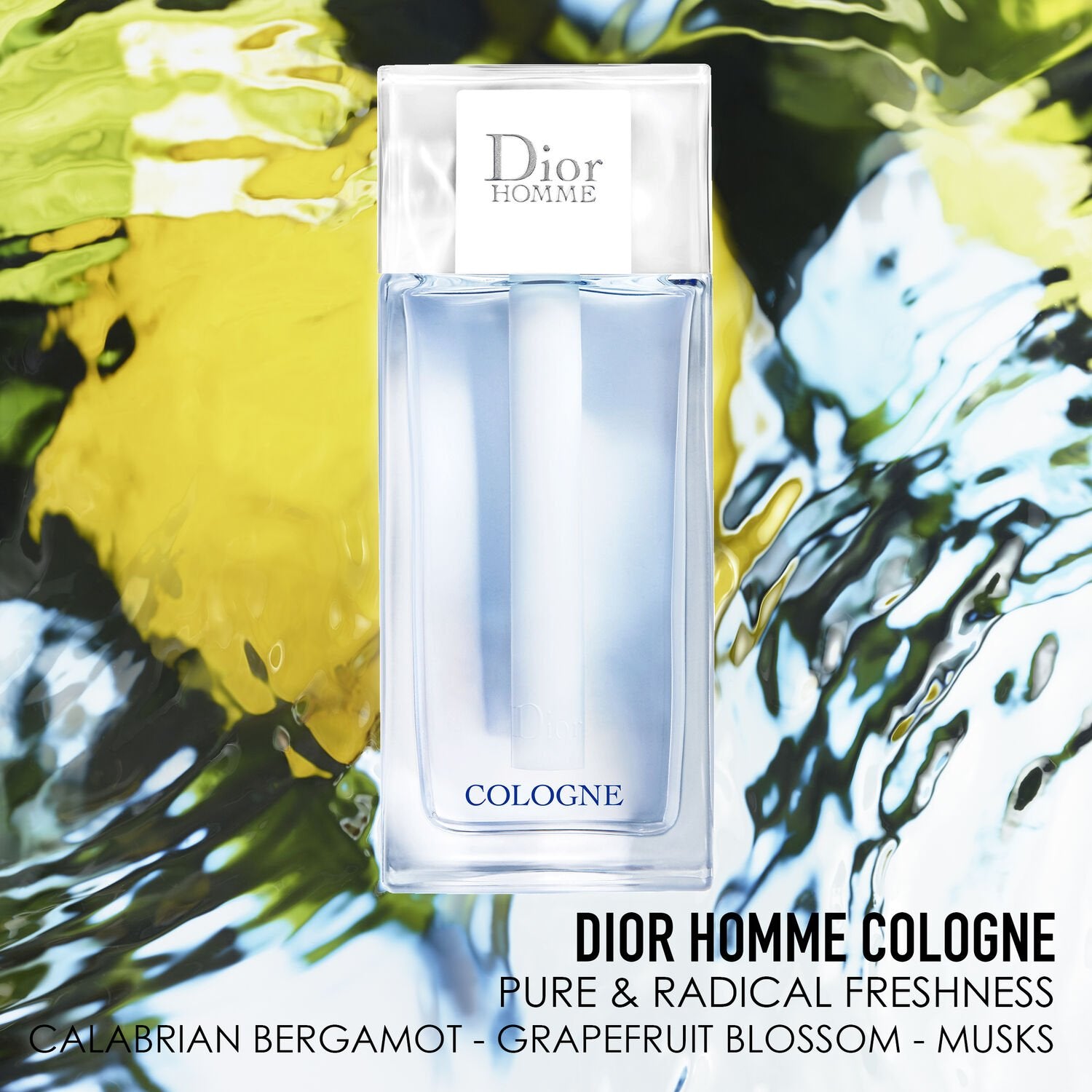 dior_dior_3348901627337_main3_d18d3530-2378-451f-aff2-22dd8a58dc4e.jpg