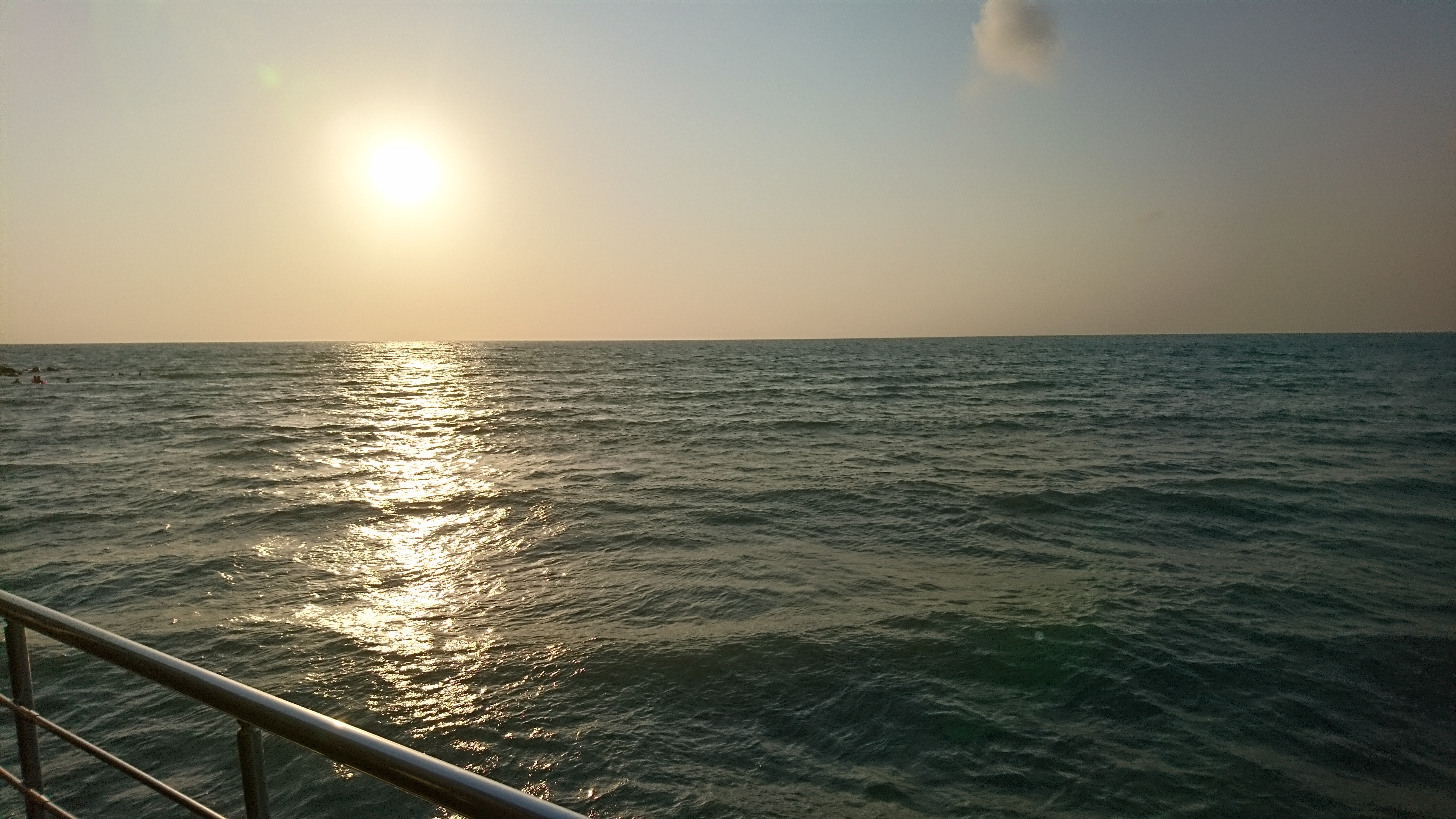 DSC_1681.JPG
