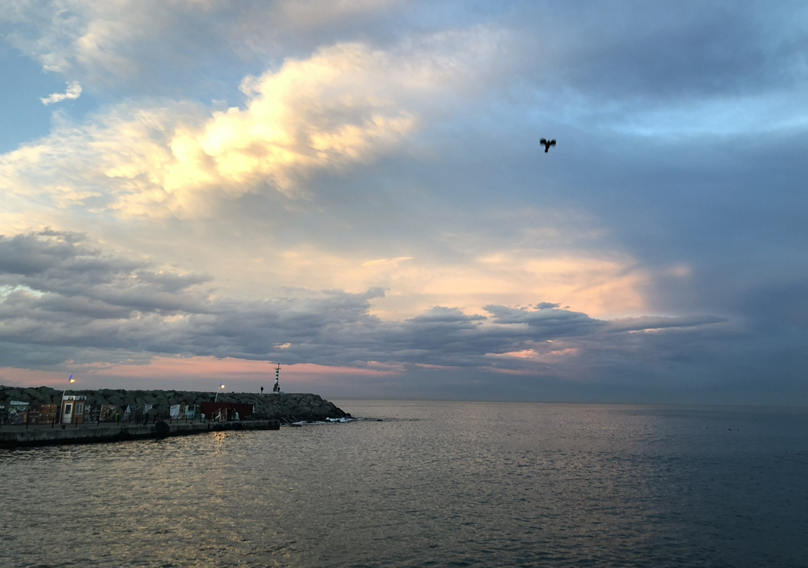 E67C499D-B44E-4576-A19B-973D74A3BE7E.jpeg