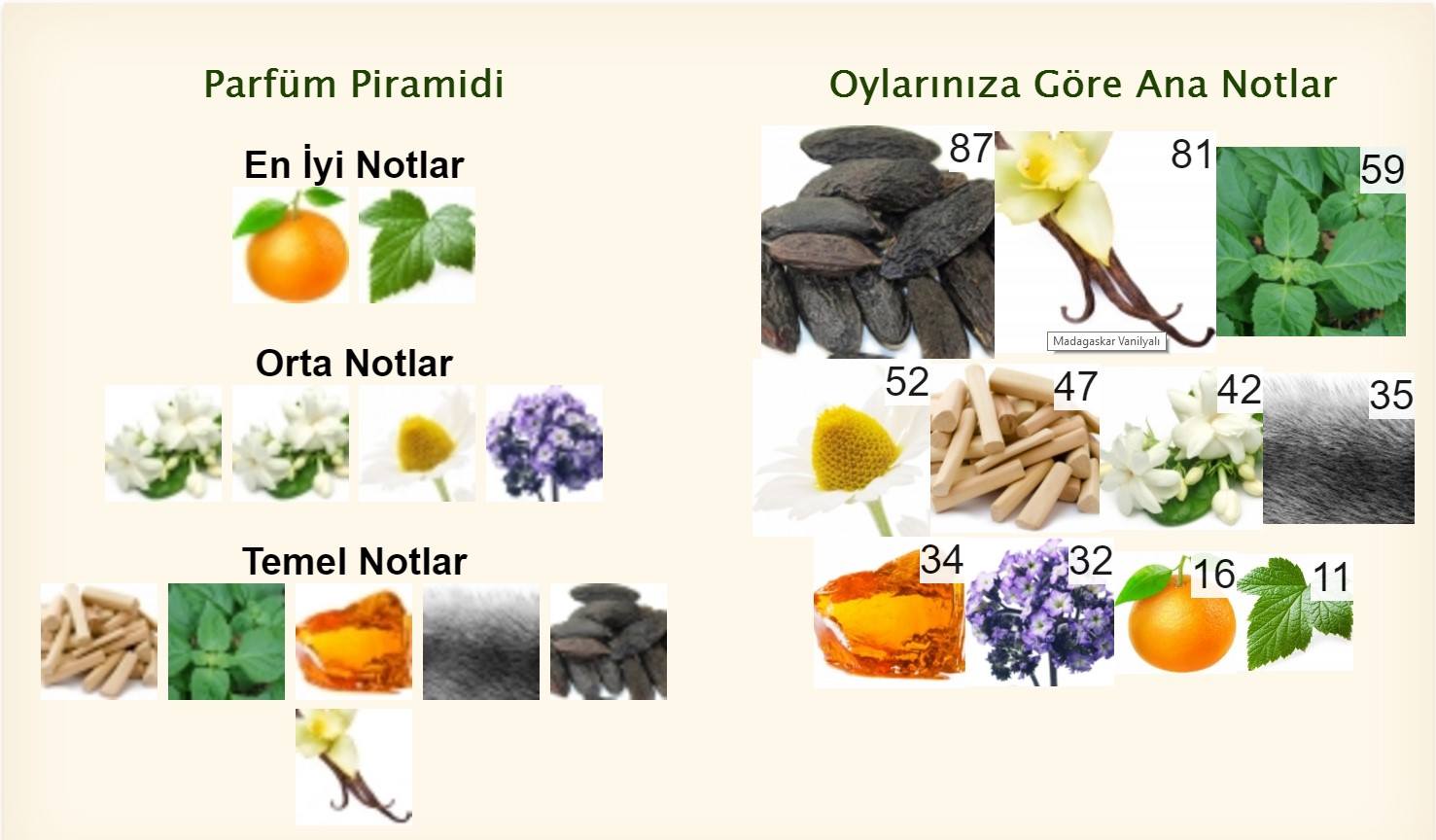 fragrantica com modern muse nuit estte içerik üye oy oran tablo k.jpg