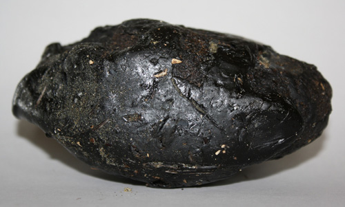 frseh amber ambergris taze amber.jpg