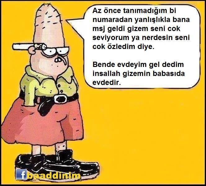 gizem bahaddin karikatürü evdeyim gizli teelfon.jpg