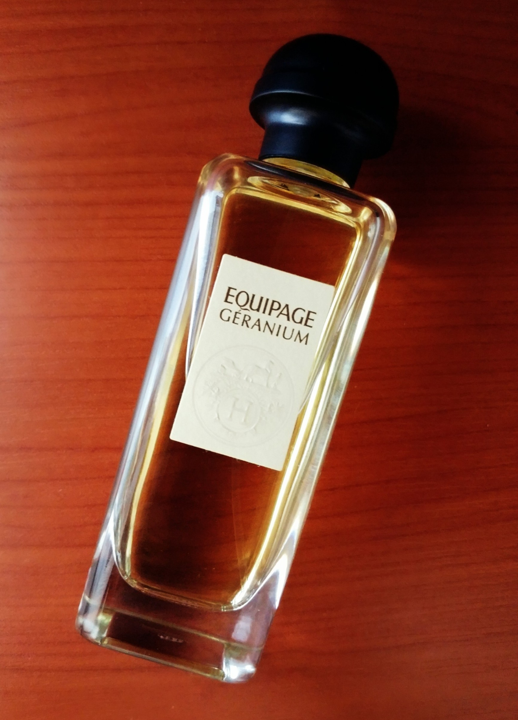 Hermes-EqGer~2.jpg