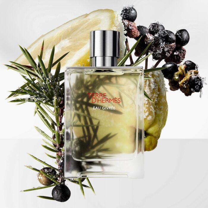 hermes_terre_d_hermes_eau_givree_edp_100ml-3.jpeg