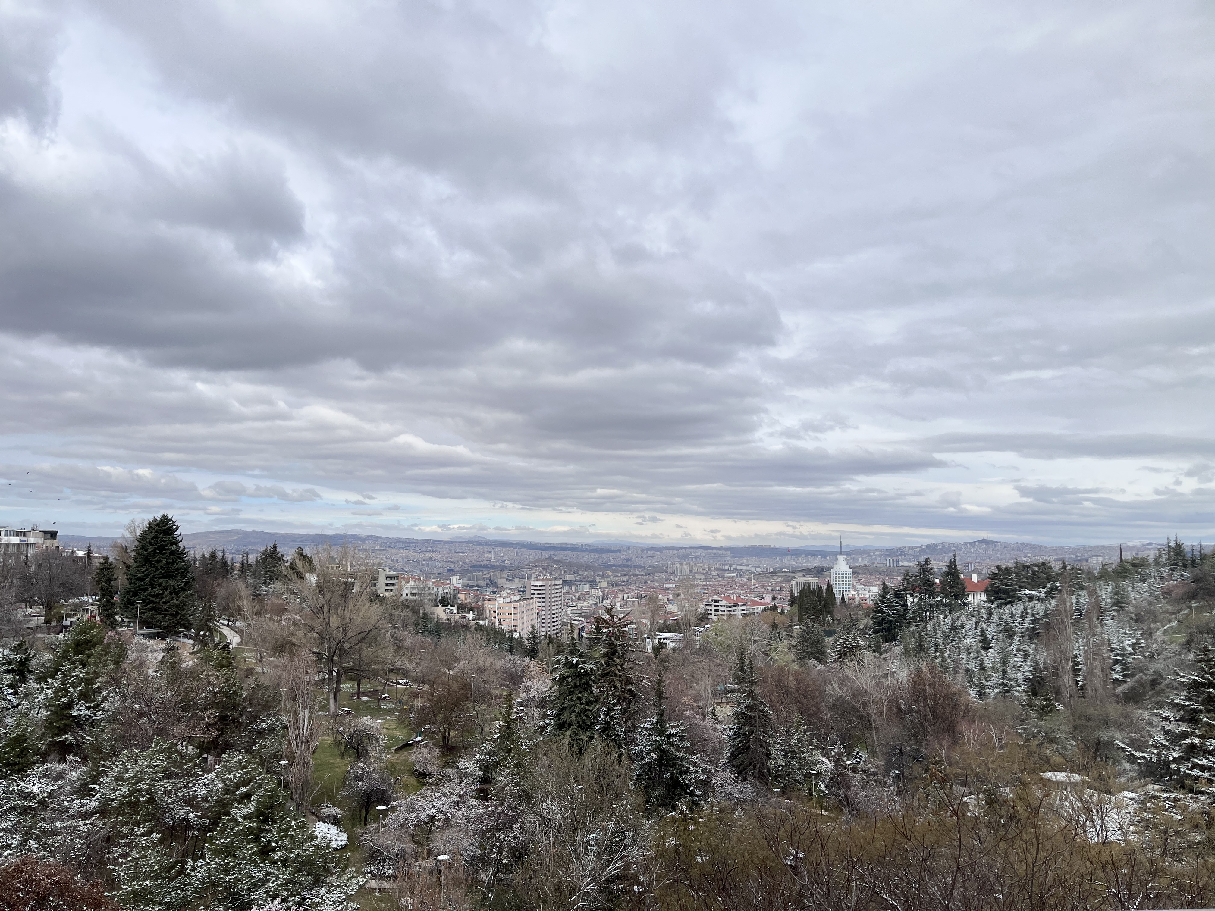 IMG_8929.jpeg