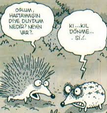 kıl dönmesi.jpg