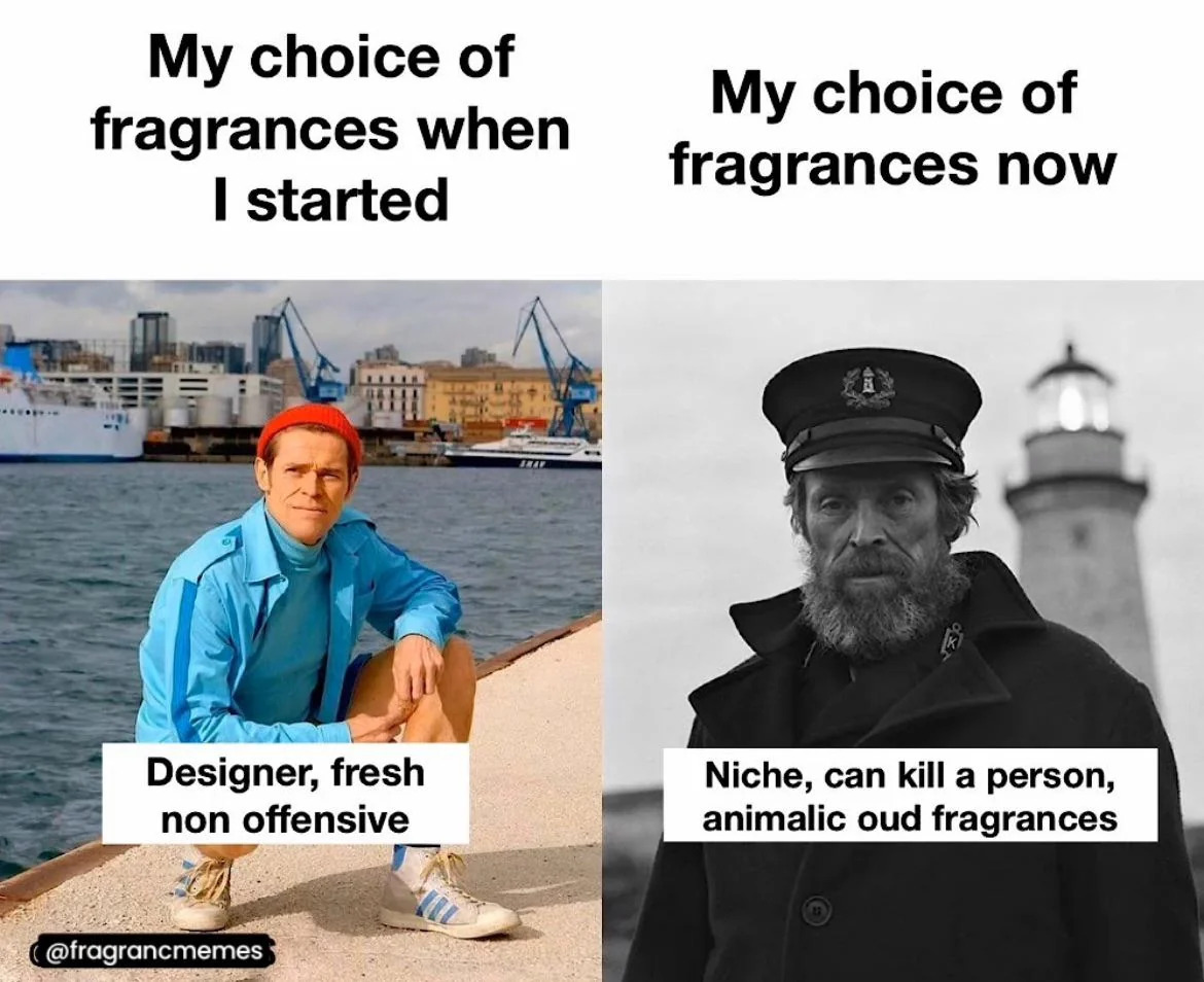 oh-the-truth-in-this-meme-v0-78mec52cfwtd1.jpg
