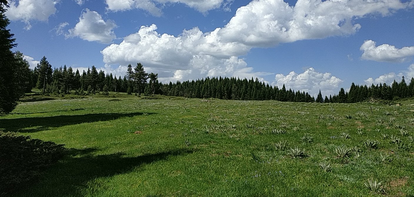 PANO_20190605_151632.jpg