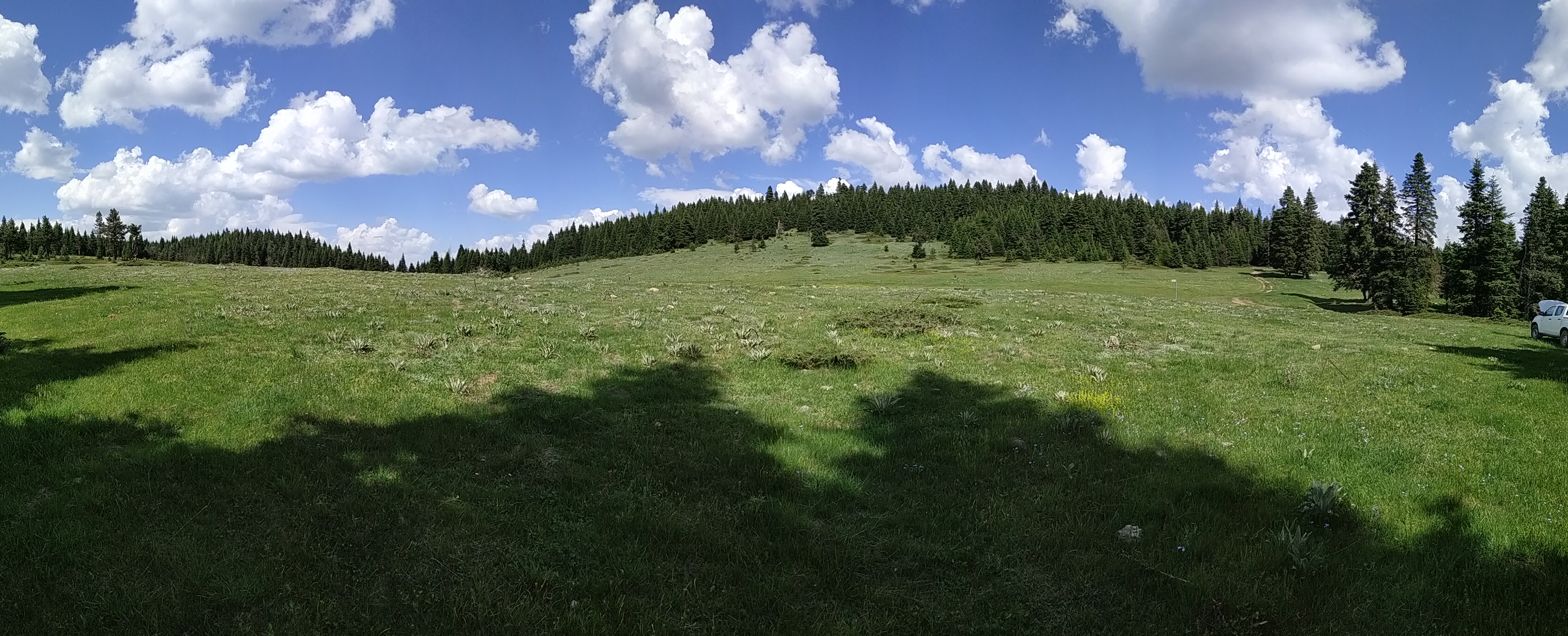 PANO_20190605_151652.jpg