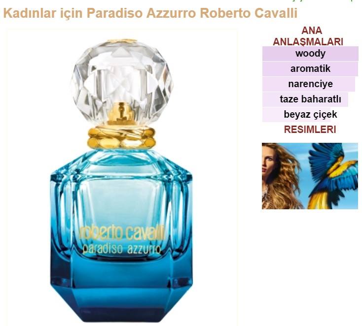 Roberto-Cavalli-Paradiso-Azzurro ana koku notaları tablo k.jpg