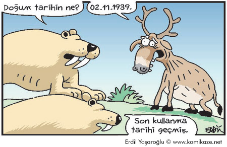son kullanma tarihi.jpg