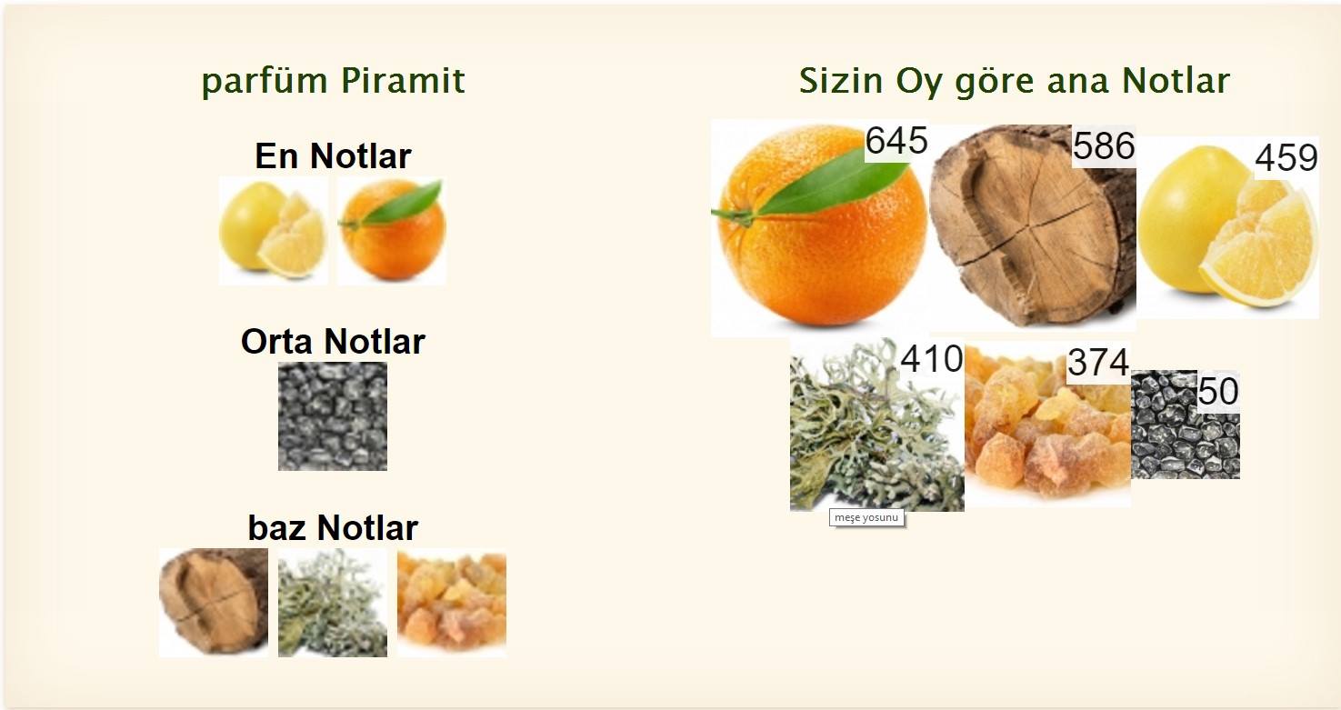 Terre d`Hermes Parfum Hermes içerik üye oy büyük kısım k meşeyosunu.jpg