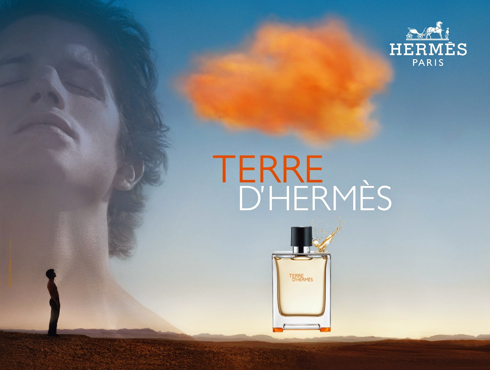 terre Terre d'Hermes Hermes for men.jpg