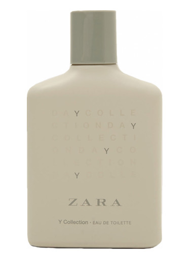 zara y collection.jpg