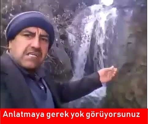 1000098456.jpg