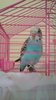 DSC_0176.JPG