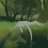 Dryad