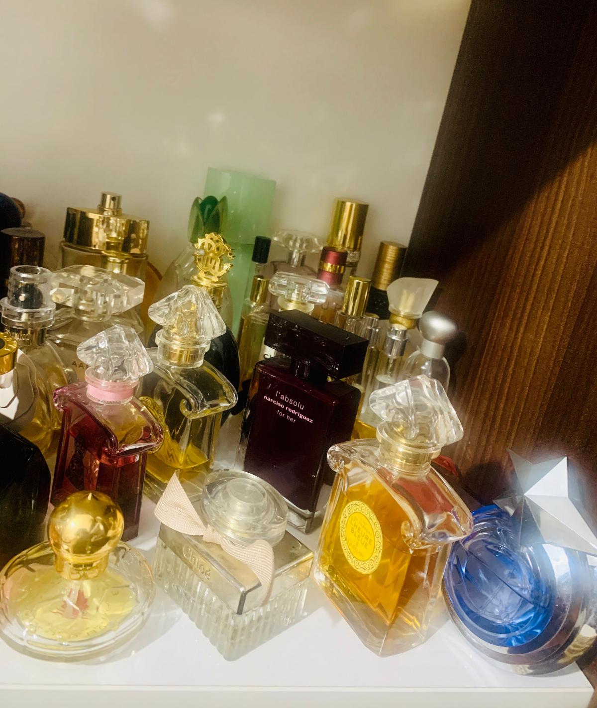 www.fragrantica.com